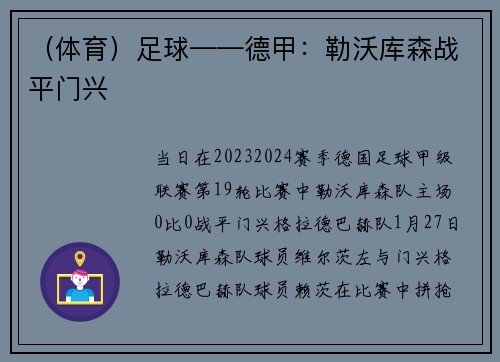 （体育）足球——德甲：勒沃库森战平门兴